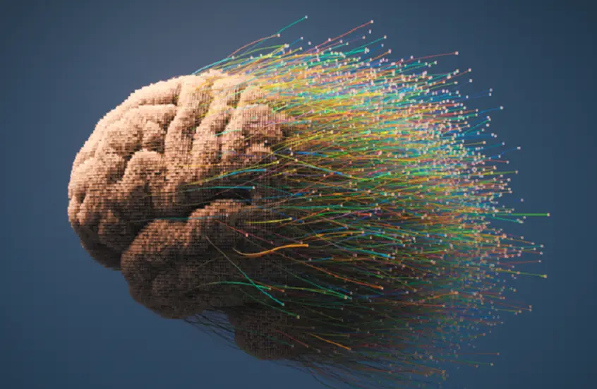 نصائح علمية لتقوية دماغك وتقليل التدهور العقلي